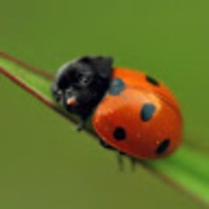 Meet your Posher, Traci